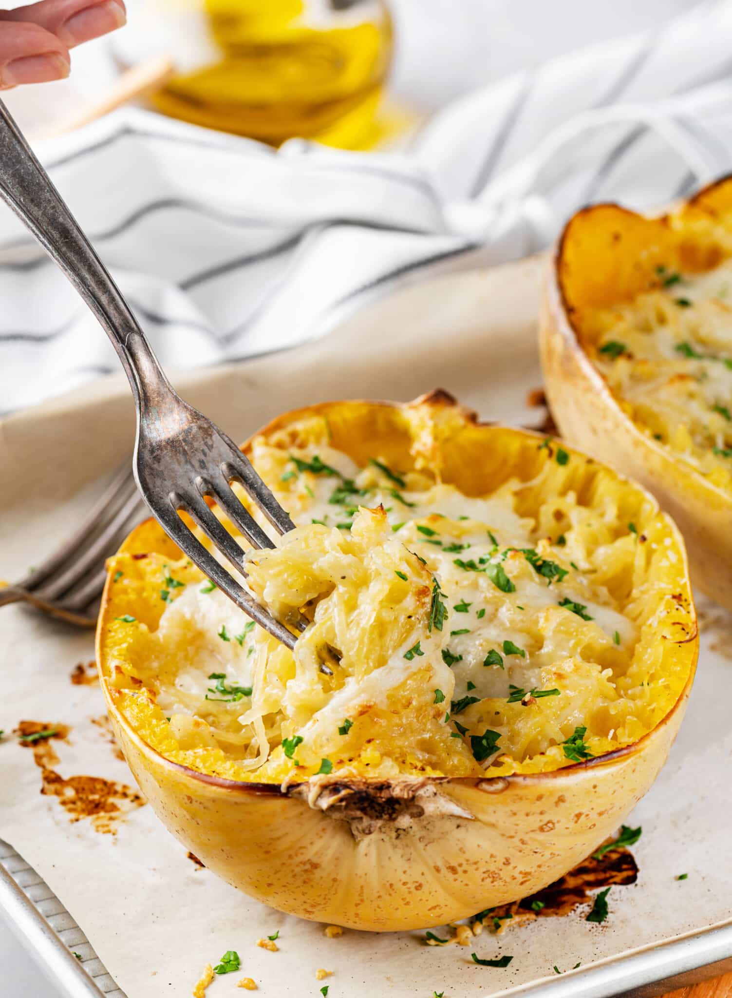 Parmesan cheese and spaghetti squash with white white sauce in a squash shell with a fork.