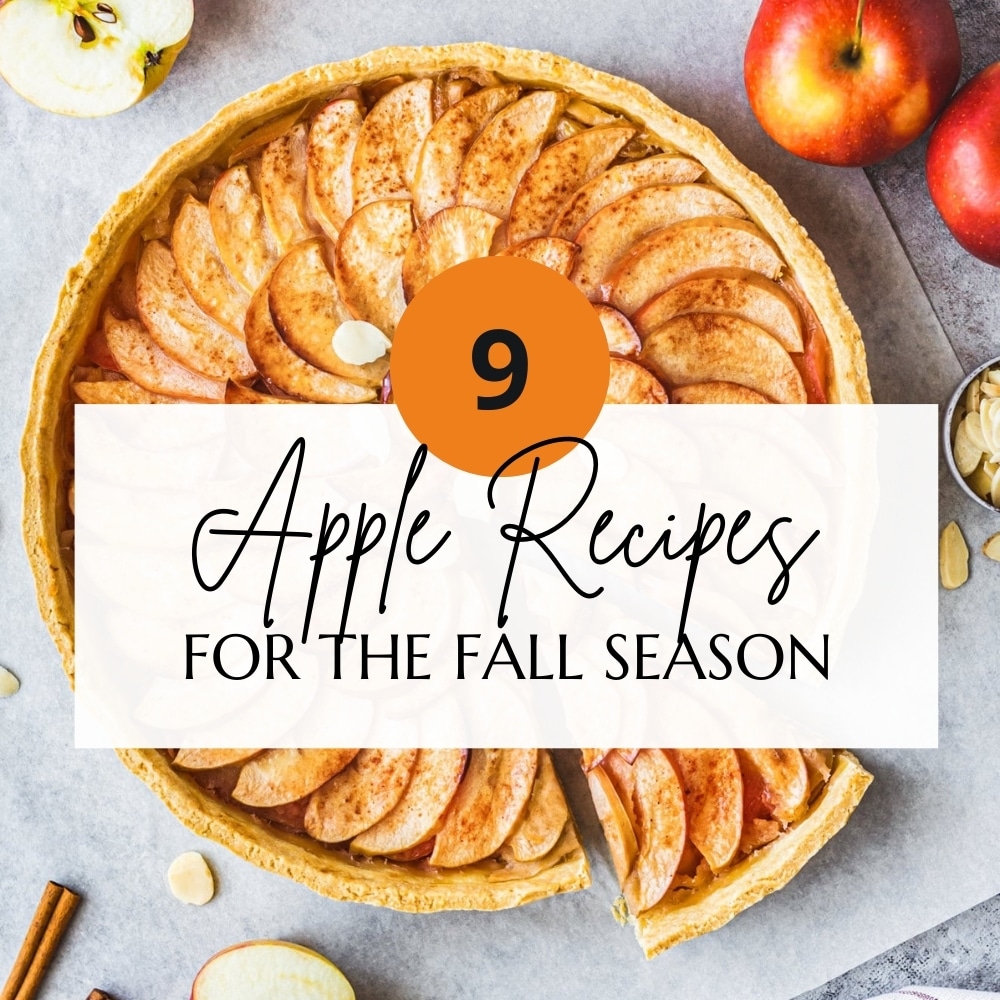 9 apple recipes for the fall season title photo.