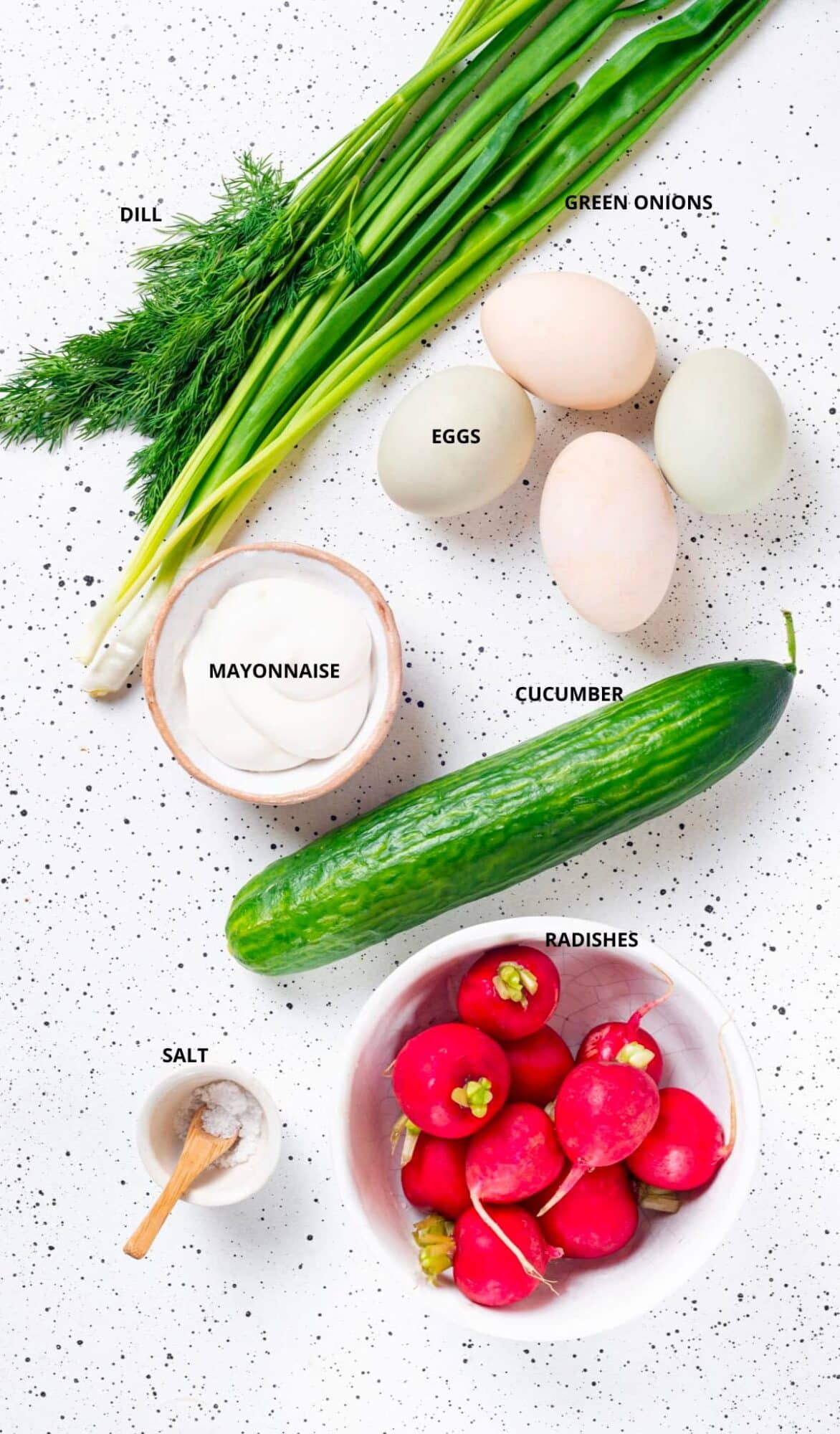 creamy cucumber radish salad ingredients with labels green onions dill eggs mayonnaise cucumber radishes and salt.