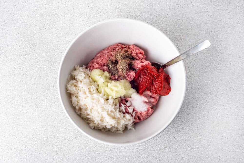 Ground chicken with salt, rice, onion, and pepper in a white bowl with a spoon.