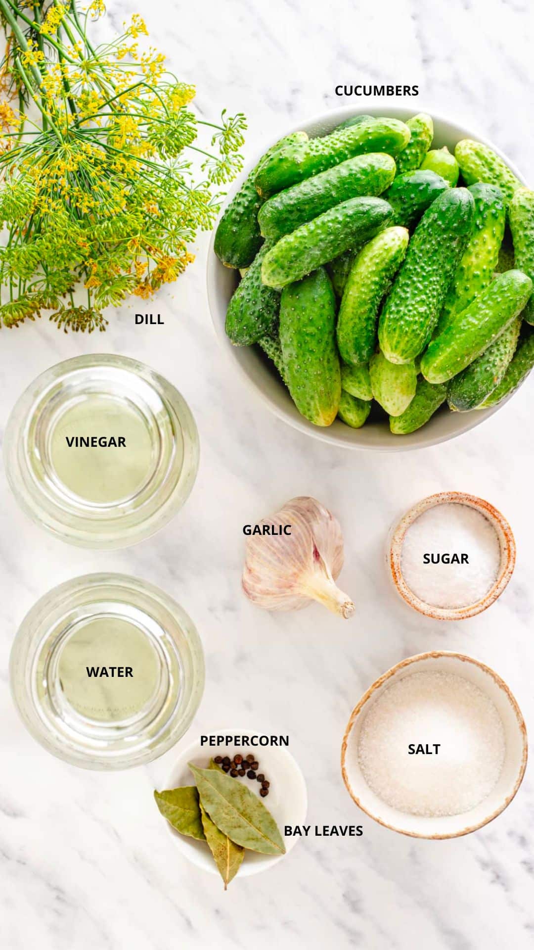 Homemade canned dill pickles ingredients- cucumbers, vinegar, dill, water, garlic, sugar, salt, bay leaves, and peppercorn.