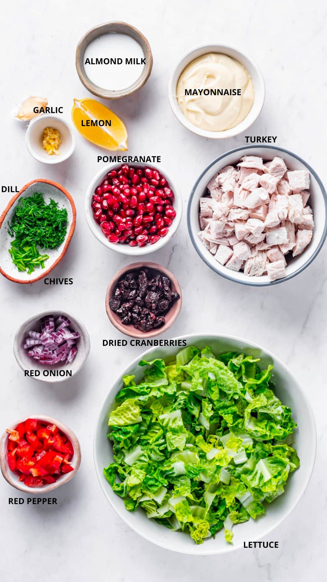 leftover turkey salad ingredients- almond milk, garlic, lemon, pomegranate, mayonnaise, turkey, dill, chives, dried cranberries, red onion, red pepper, and lettuce.