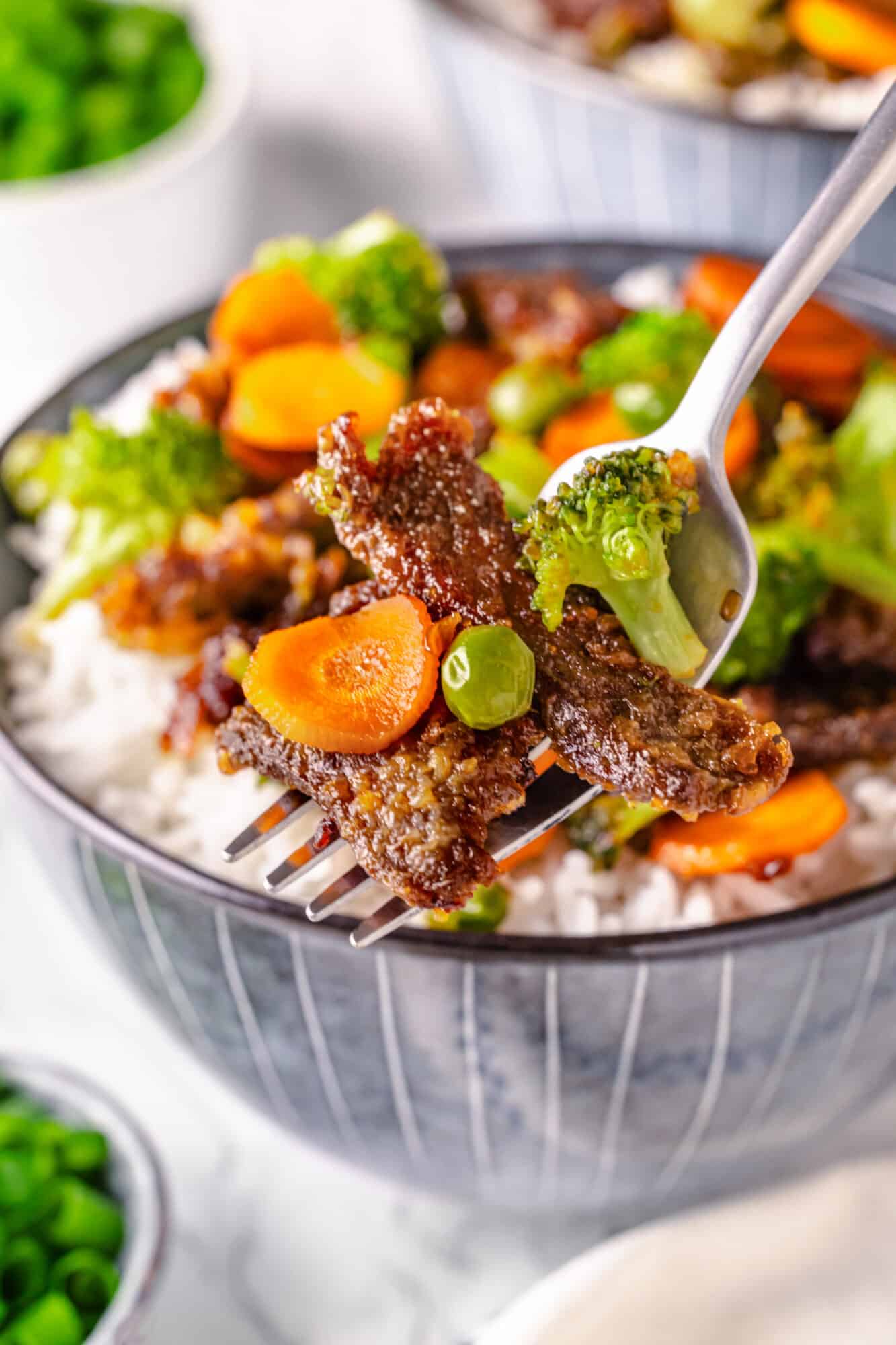 cooked beef with mixed vegetables on a fork. 